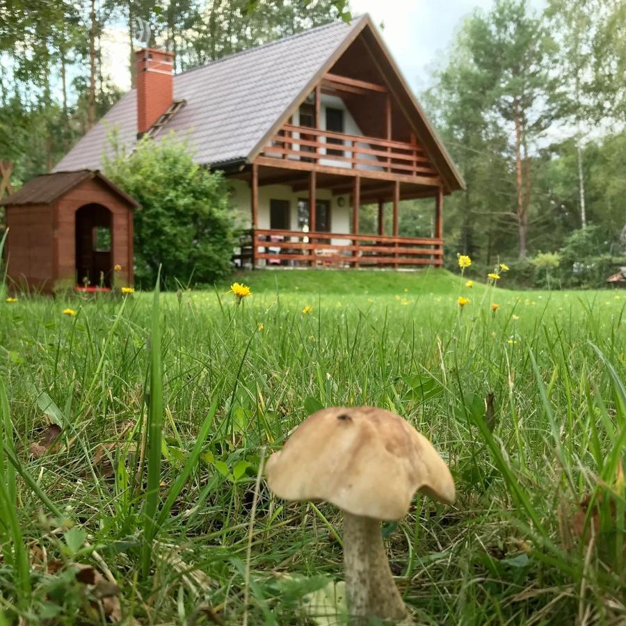 Holiday home Nad Wkra